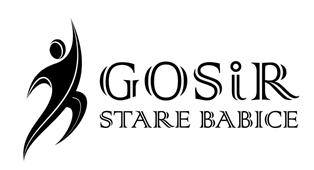 Logo GOSiR